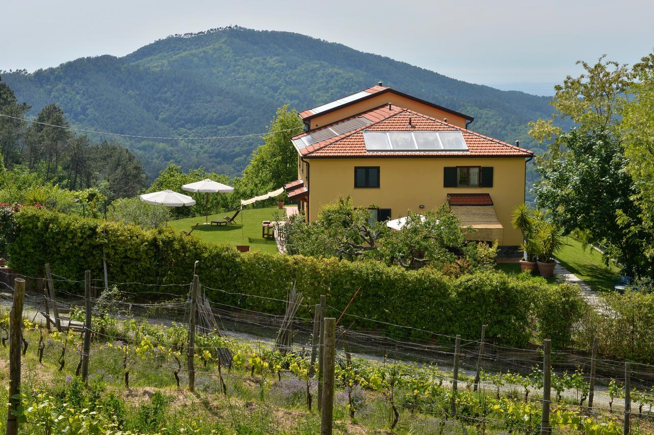 Il Laghello Di Amina Villa Framura Exterior foto